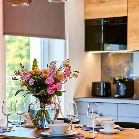 公寓 Laguna 36 Lux 波兰尼卡-兹德鲁伊